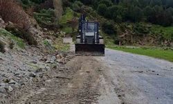 Yağış sonrası topraktan kaydı, kayalar yolu kapattı