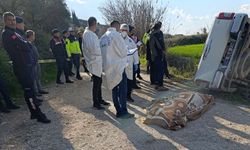 Yaşlı adam tarla komşusunu ezerek öldürdü