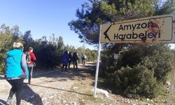 Aydın'ın 'öksüz' antik kenti Amyzon, gün yüzüne çıkmayı bekliyor