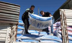 Aydın Büyükşehir'in yem desteği devam ediyor