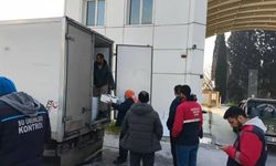 Aydın'da nakil belgesiz 290 kasa balığa el konuldu