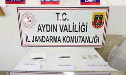 Aydın'da torbacı operasyonu: 16 şüpheliden 5'i tutuklandı