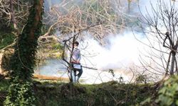 Bozdoğan Belediyesi ilaçlama çalışmalarını aralıksız sürdürüyor