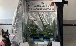 Jandarma narkotik affetmedi