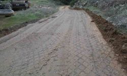 Kavaklı Mahallesi'ndeki bahçe yolu yenilendi