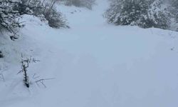 Mart sonunda Karıncalı Dağ'da kar sürprizi