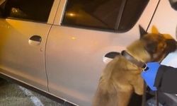 Söke ve Çine'de uyuşturucu operasyonu: 2 şüpheli tutuklandı