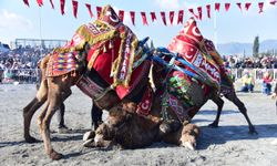 Hasret bitiyor yılın ilk güreşi İncirliova'da yapılacak