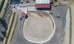 İncirliova deve festivaline hazır