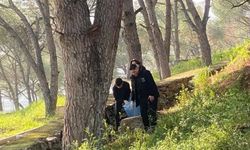 Yenipazar'da öğrencilerden doğaya sahip çıktı