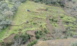 Aydın'da sağanak yağışlar sonrası dağlarda heyelan oluştu