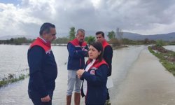 Aydın'da sular altında kalan arazilerde kesin zarar tespiti yapıldı