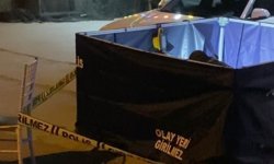 Aydın'daki 'kanlı' kavganın şüphelileri polise teslim oldu