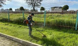 Başkan Çerçioğlu'ndan Germencik ve İncirliova'da yeşil alan çalışması