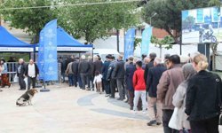 Büyükşehir'in ata tohumlarına yoğun ilgi