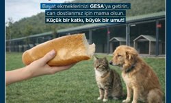 Germencik'te bayat ekmekler can dostlara mama oluyor