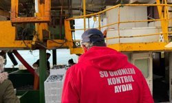 Hamsi kotası için Didim'de denetim yapıldı