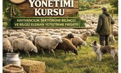 Karacasu'da sürü yönetimi kursu başlıyor