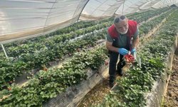 Köşk'ten Sultanhisar'a çapraz denetim