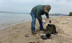 Kuşadası'nda iki deniz kaplumbağası ölü bulundu