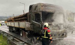 Tomruk yüklü tır alev topuna döndü