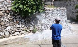Bozdoğan'da haşereye karşı kireçleme çalışmaları sürüyor