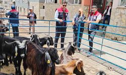 Bozdoğan'da kurban satış yerleri denetlendi