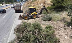 Aydın Orman İşletme'den yangınlara karşı yol kenarı temizliği