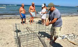 Didim'de ikinci caretta yuvası koruma altına alındı