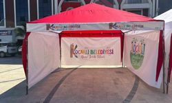 Koçarlı'da 6 gün sürecek festival için geri sayım başladı