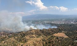 Nazilli’de zeytinlik alanda yangın çıktı
