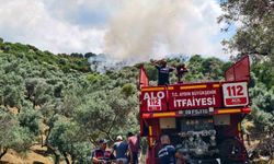Yenipazar'daki makilik yangını kontrol altına alındı