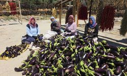 Ege'nin 'Patlıcan Vadisi'nden tüm dünya sofralarına