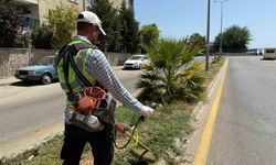 Aydın Büyükşehir'den Çeştepe'de park ve yeşil alanlara bakım