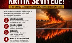 Aydın Valiliği'nden orman yangını uyarısı