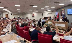 Büyükşehir Meclisi'ne 'ilaçlama' konusu damga vurdu