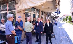Vali Varol, Germencik'te incelemelerde bulundu