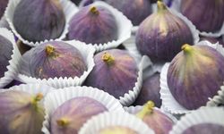 Taze incirde hedef 100 milyon dolar