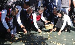 Bakan Yumaklı Aydın'da incir hasadına katıldı