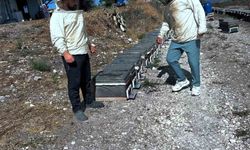 Arıcılığın geliştirilmesi için saha çalışmaları sürüyor