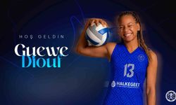 Aydın BBSK'dan Fransız smaçör transferi