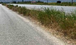 Ekiplerin hızlı müdahalesi ile alevler büyümeden kontrol altına alındı
