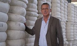 Söke TARİŞ Pamuk alım fiyatını 102 lira olarak açıkladı