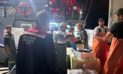 Didim'de 'Hamsi Kotası' denetimi yapıldı
