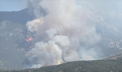 Denizli'de orman yangını sürüyor