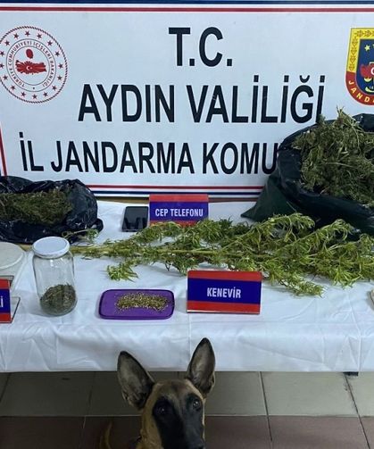 Nazilli’de uyuşturucu operasyonu: 1 gözaltı