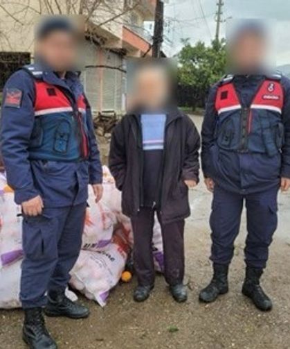 Nazilli'de portakal hırsızı yakalandı