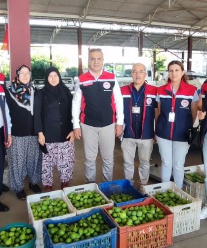 Aydın inciri için denetimler sürüyor