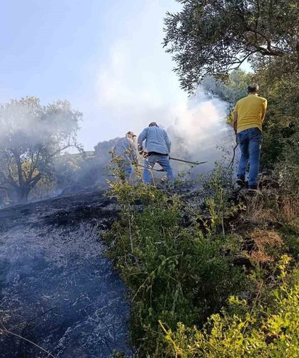 Bozdoğan'da arazi yangını
