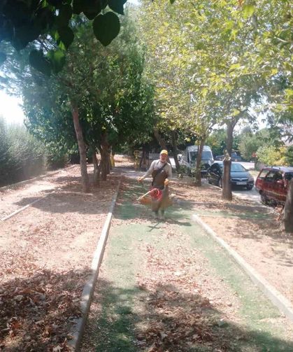 Köşk'te park ve yeşil alanlarda bakım çalışmaları sürüyor